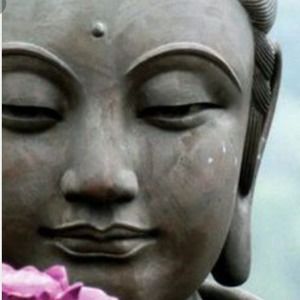 Meet your Posher, Adriana